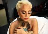 Lady Gaga Gets Sued with the Aid of a Dog Lady Gaga Gets Sued by Dog Theft Accomplice